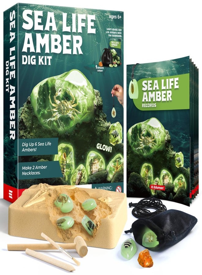 EDUMAN Amber Dig Kit-6 Artificial Sea Life Resin Specimens, Glow in The Dark Oceanlife Fossil Excavation Set, STEM Inspired Educational Toy for Kids Ages 6-12, for Boys & Girls - Image 1
